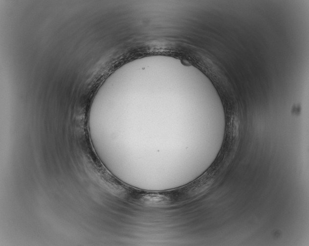 X0000114690557200911121521