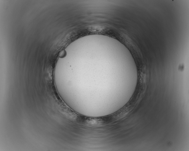 X0000114690561200911121521