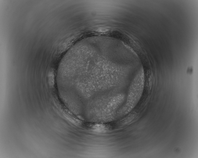 X0000114690562200911121521