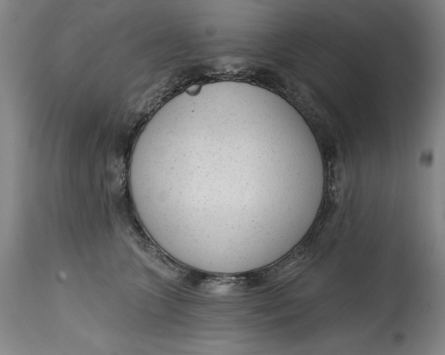 X0000114690563200911121521