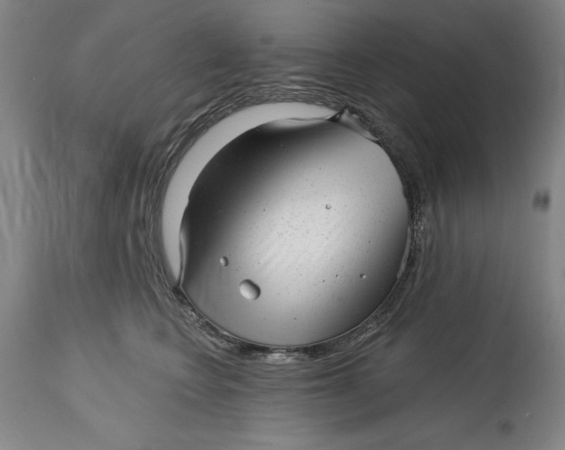 X0000114690566200911121521