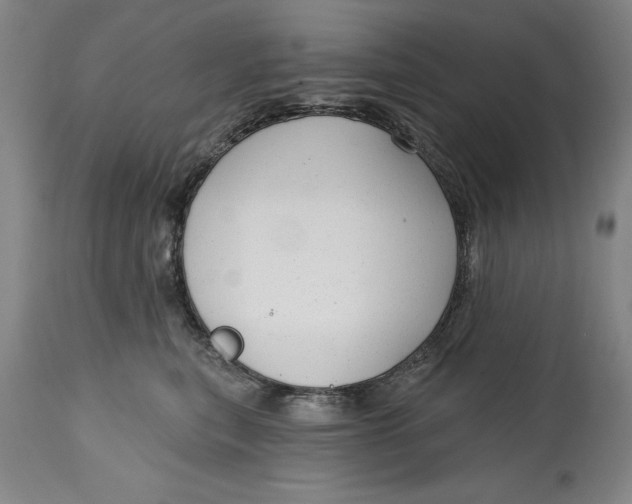 X0000114690567200911121521