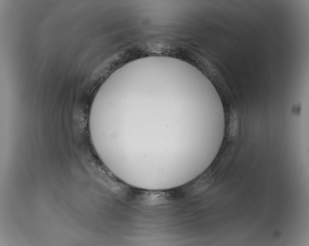 X0000114690569200911121521