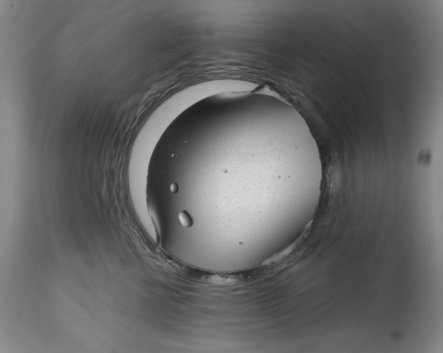 X0000114690570200911121521