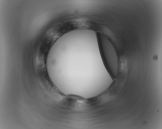 X0000114690573200911121521