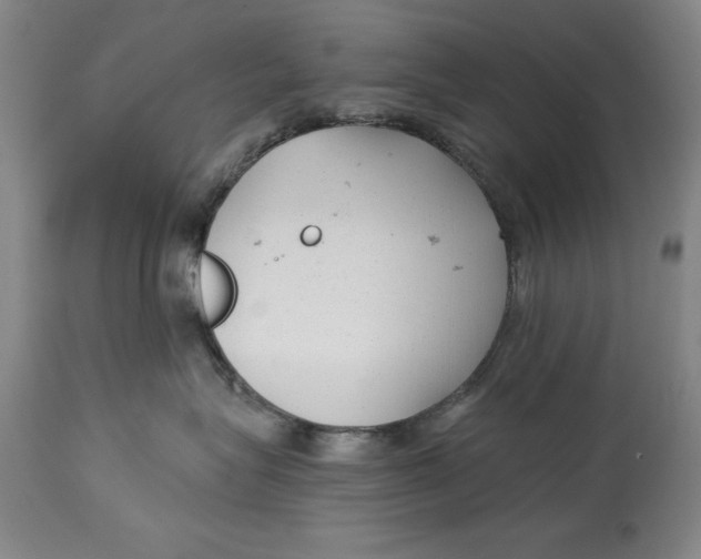 X0000114690575200911121521