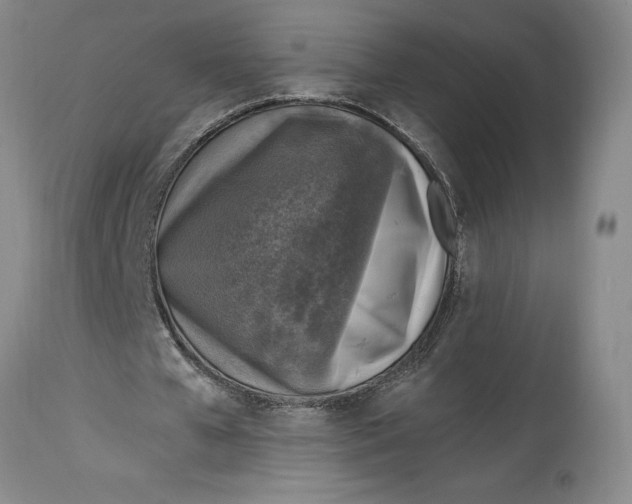 X0000114690577200911121520