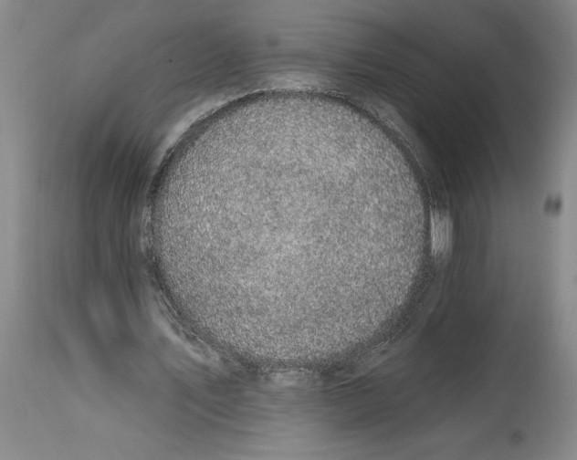 X0000114690579200911121520