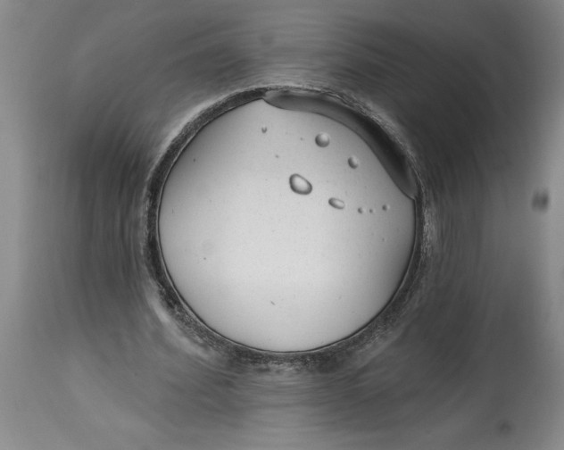 X0000114690580200911121520