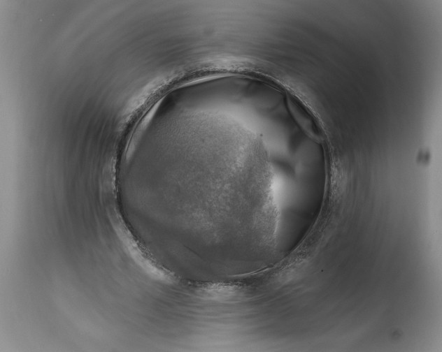 X0000114690581200911121520