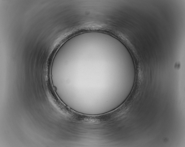 X0000114690582200911121520