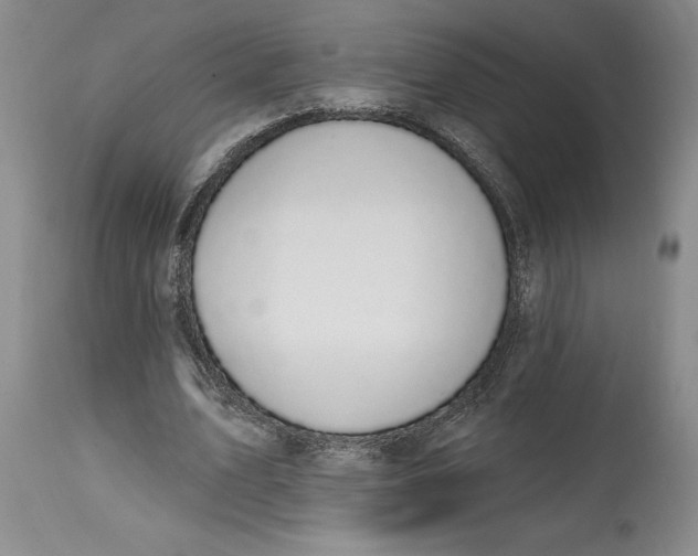 X0000114690583200911121520