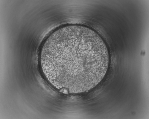 X0000114690584200911121520