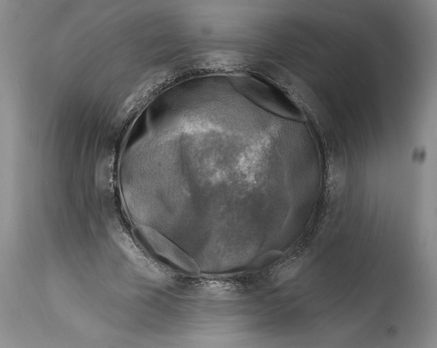 X0000114690585200911121520