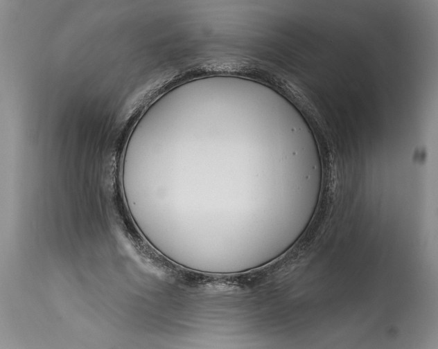 X0000114690586200911121520