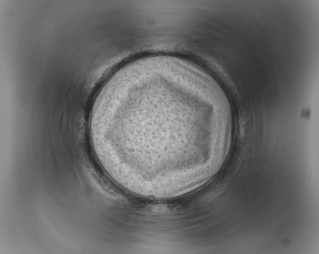 X0000114690588200911121520