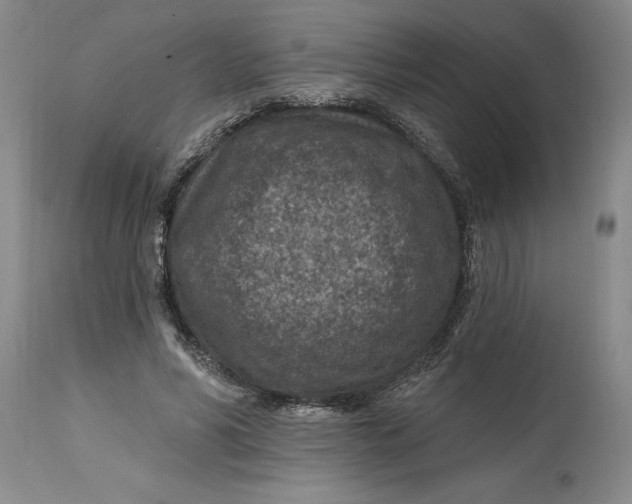 X0000114690590200911121520