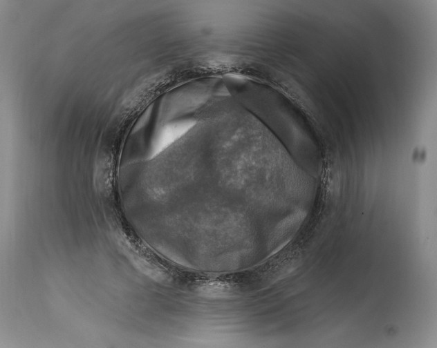 X0000114690593200911121520