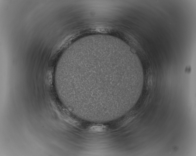 X0000114690595200911121520