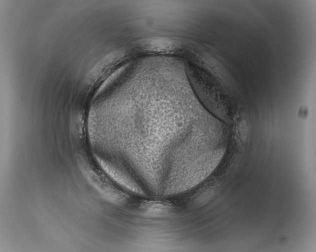 X0000114690597200911121520