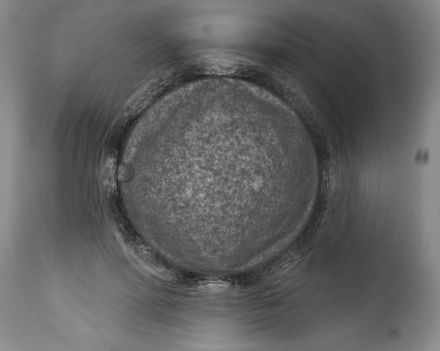 X0000114690598200911121520