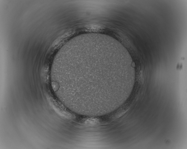 X0000114690599200911121520