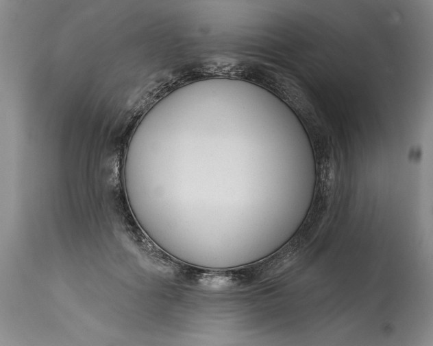 X0000114690602200911121520