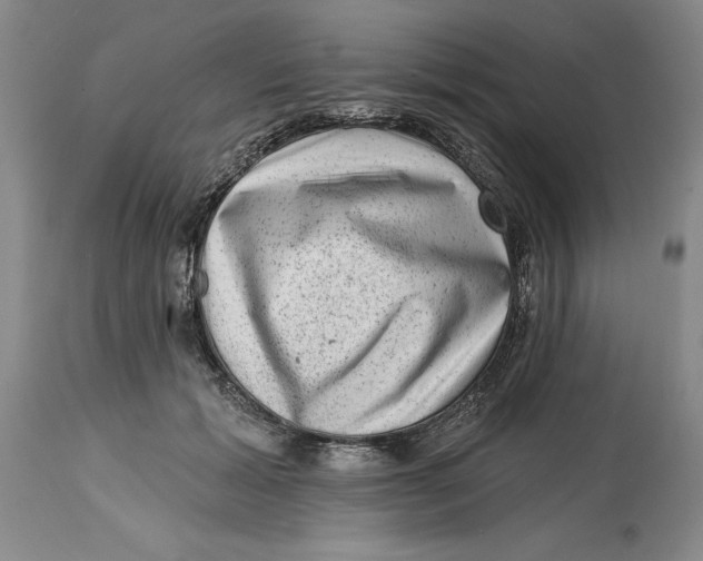 X0000114690605200911121520