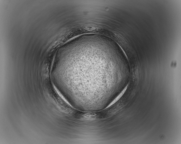 X0000114690606200911121520