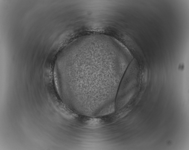 X0000114690609200911121520