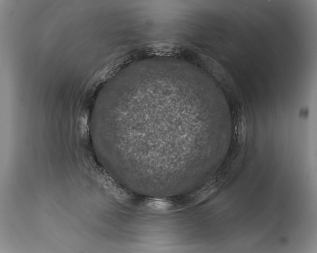 X0000114690610200911121520