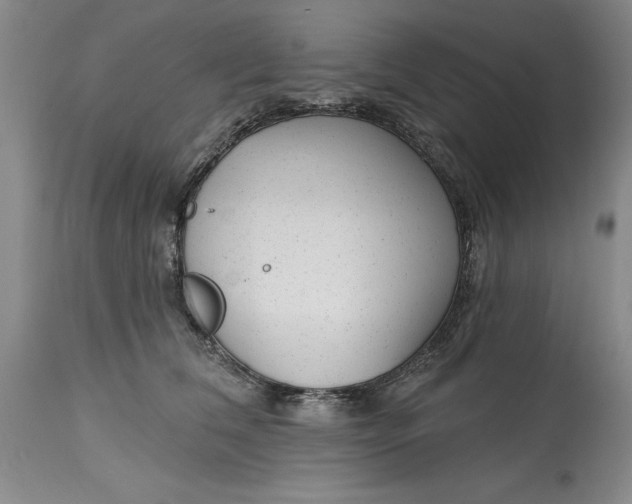 X0000114690612200911121520