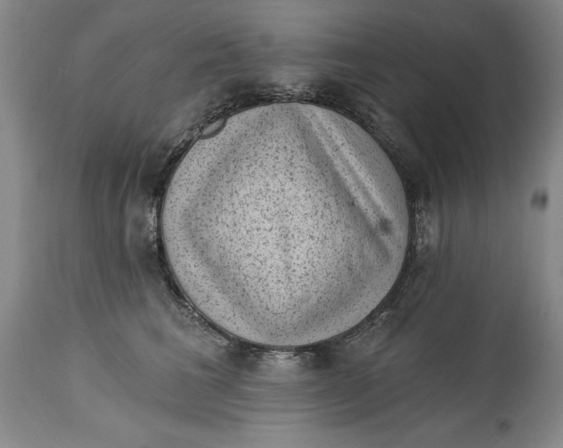 X0000114690613200911121520