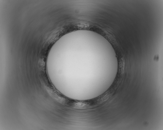 X0000114690614200911121520