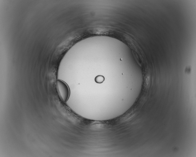 X0000114690620200911121520