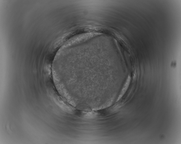 X0000114690621200911121520