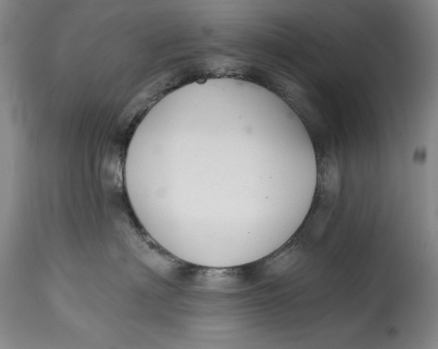 X0000114690622200911121520