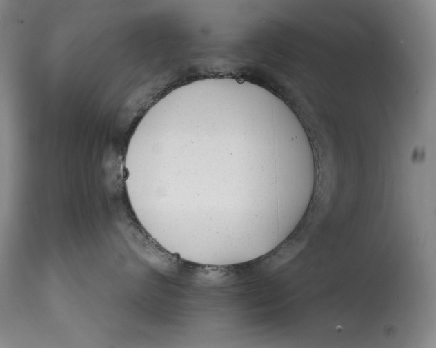 X0000114690624200911121520