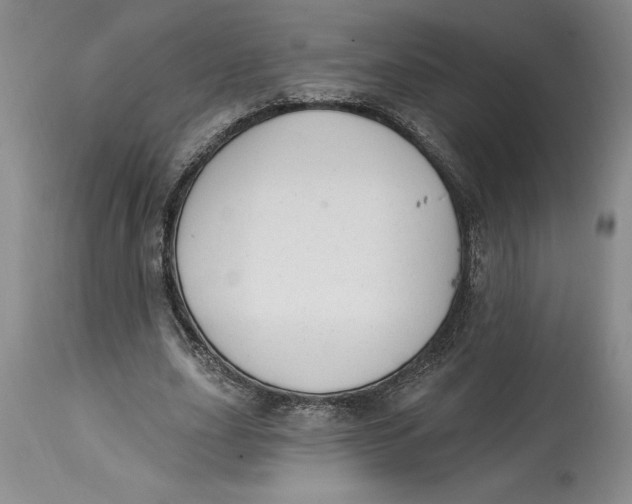 X0000114690631200911121519