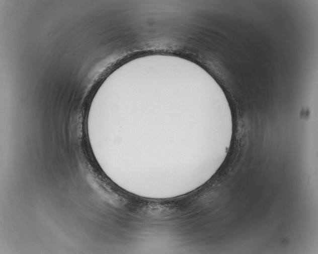 X0000114690632200911121519