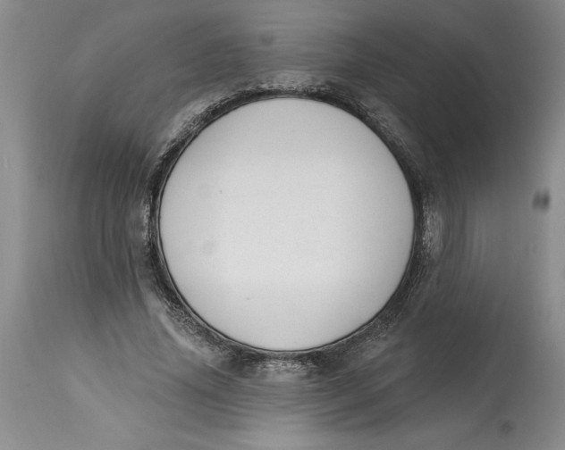 X0000114690636200911121519