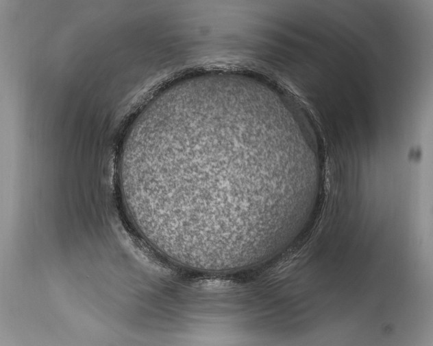 X0000114690637200911121519