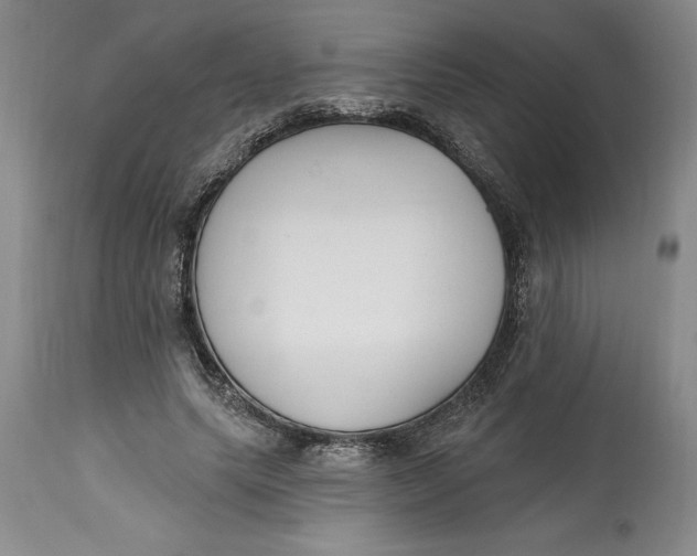 X0000114690639200911121519