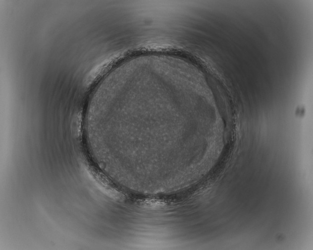 X0000114690640200911121519