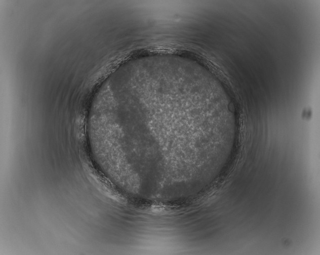 X0000114690641200911121519