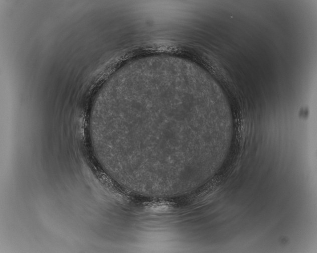 X0000114690643200911121519