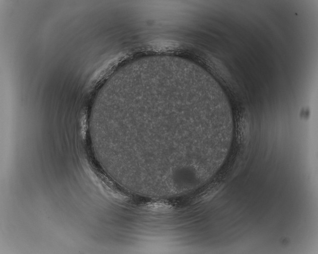 X0000114690644200911121519