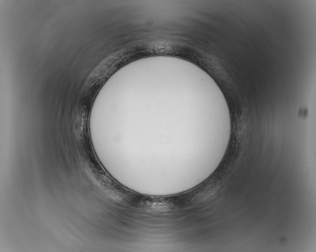 X0000114690645200911121519