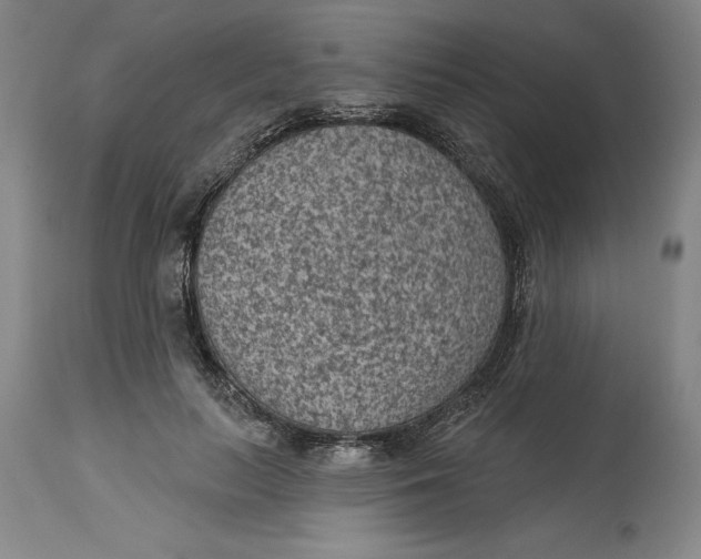 X0000114690647200911121519