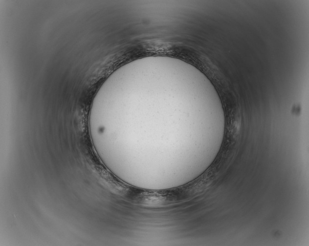 X0000114690658200911121519